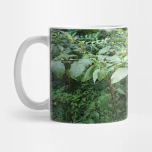 Deadly Nightshade Mug